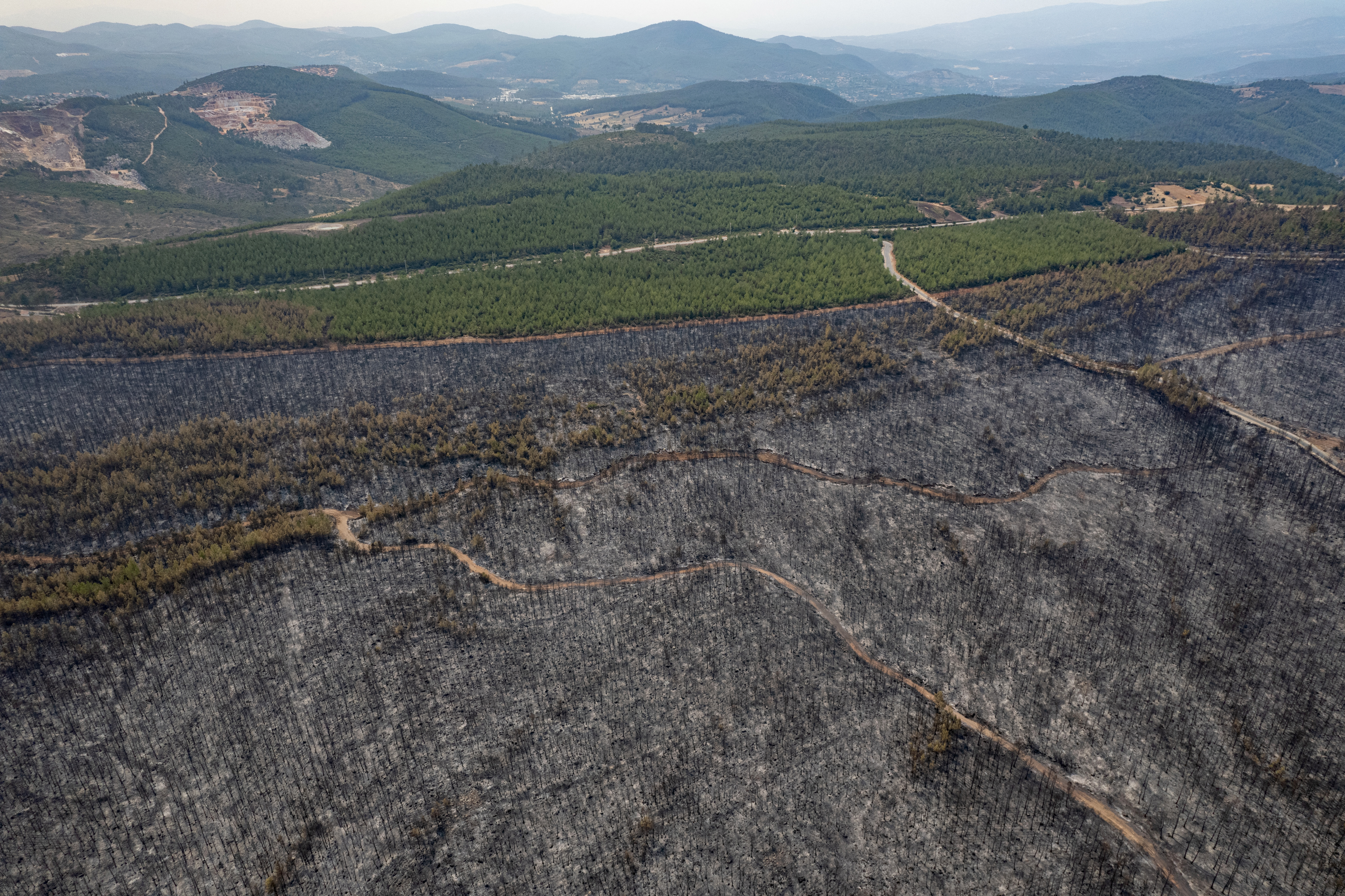 Así quedó Turquía tras los incendios que destrozaron más de 50.000 hectáreas