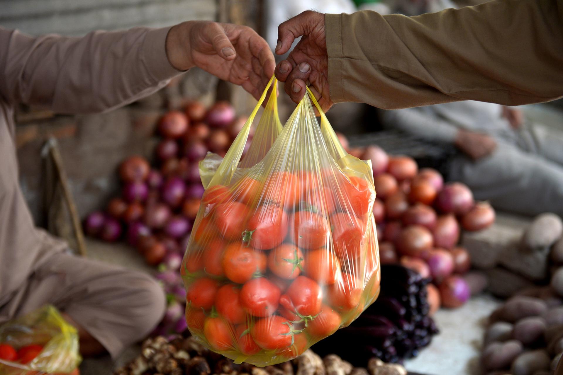 PESHAWAR (Pakistan), 21/10/2025.- A person buys tomatoes at a wholesale vegetable market in Peshawar, Pakistan, 21 October 2025. Tomato prices have soared across Pakistan, being sold in some areas for as high as Rs700 per kg (2euros), almost double the official price, due to supply disruptions caused by recent floods in Peshawar and other regions, which have damaged crops and disrupted trade routes. (Inundaciones) EFE/EPA/ARSHAD ARBAB