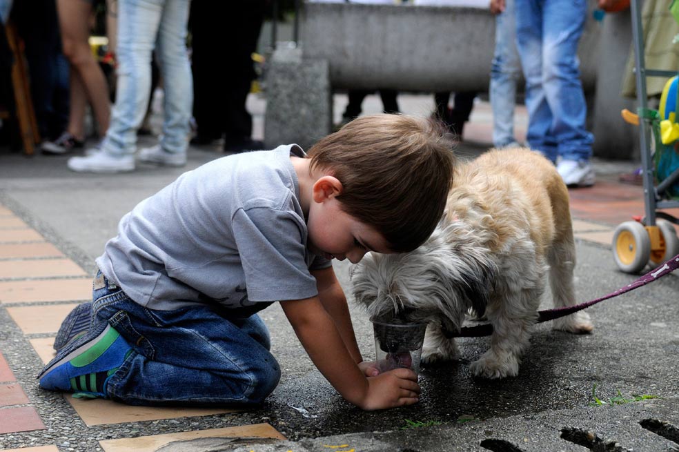Marcha contra el maltrato animal en Medellín