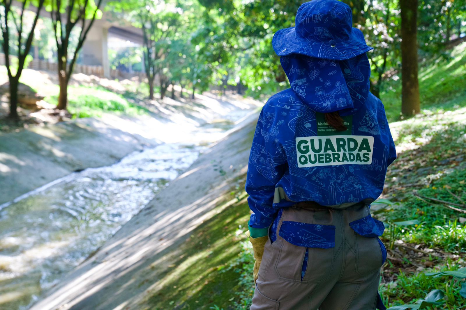 Dentro de este equipo, 23 integrantes representan comunidades indígenas como los Katíos, los Chami y los Zenúes; cinco guardianes provienen de programas de la Secretaría de Inclusión Social, Familia y Derechos Humanos, como el de resocialización; dos forman parte de Parceros, liderado por la Administración Distrital; y seis son mayores de 54 años que han encontrado una oportunidad para continuar su vida laboral.