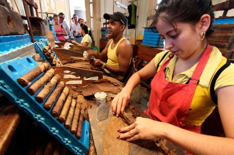 Conflictos internacionales frenan ventas de habanos en el mundo