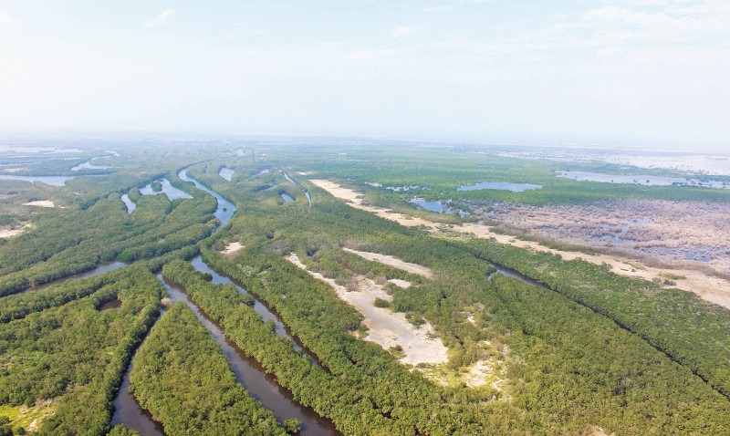 La petición para proteger la Ciénaga Grande de Santa Marta que estudia un Tribunal