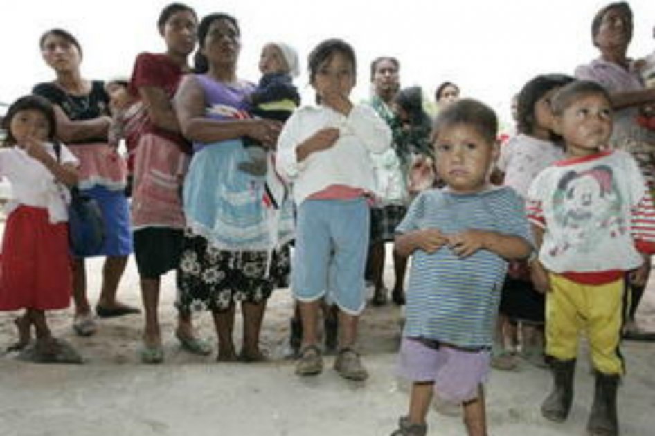FAO: 49 millones de personas sufren hambre en América Latina