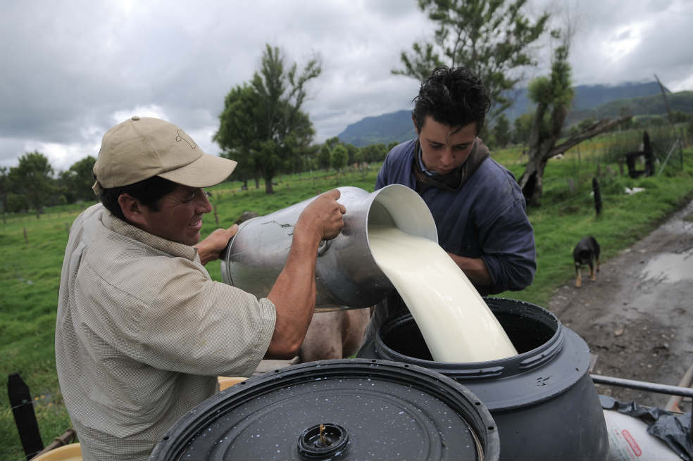 Francia destinará 30 millones de euros al agro colombiano