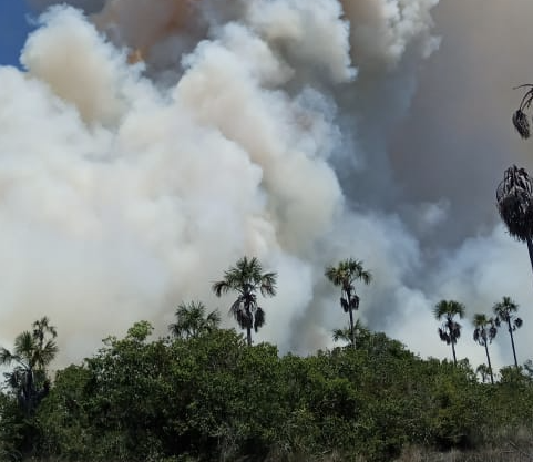 Defender la amazonia, una prioridad para los jóvenes indígenas Munduruku