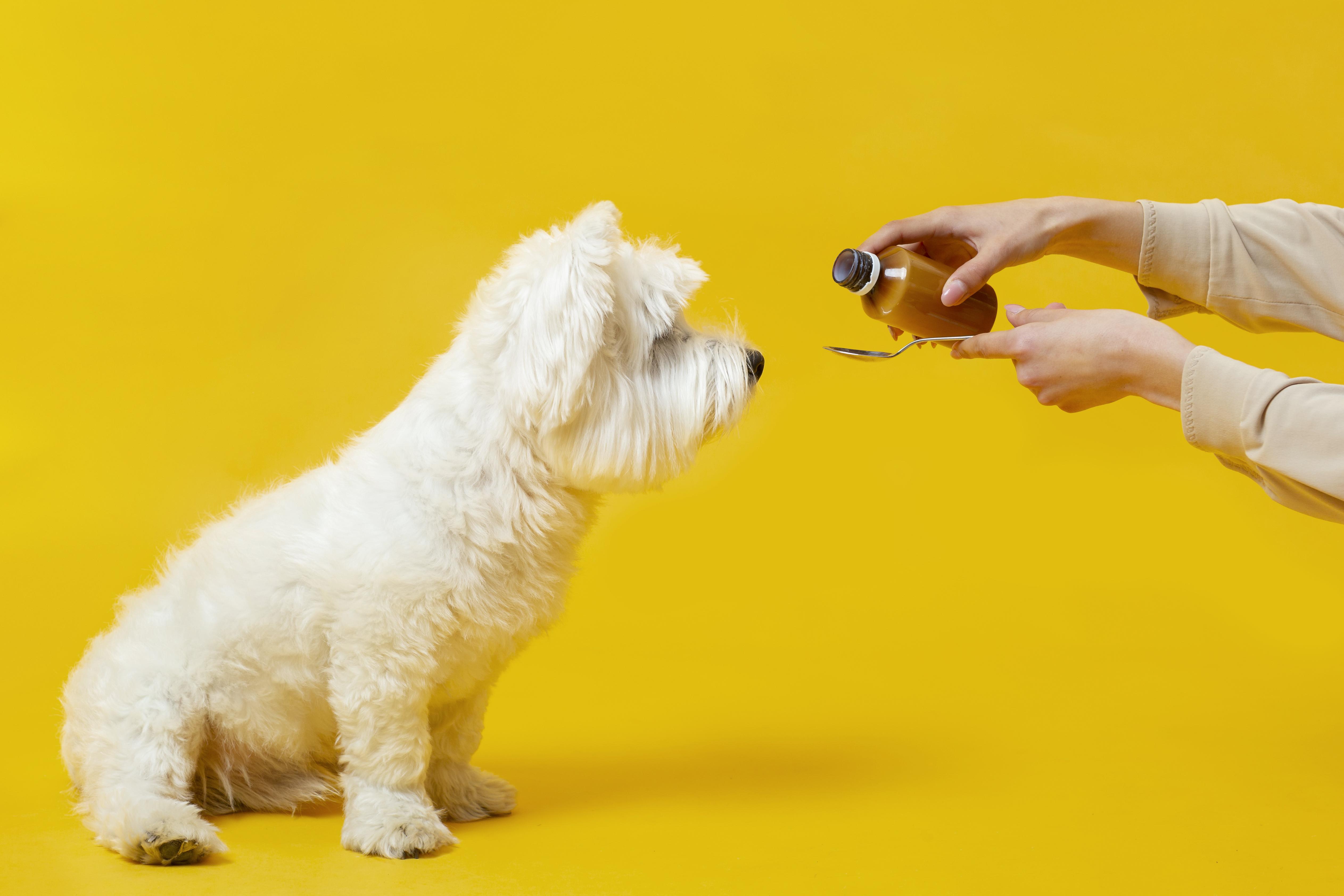 En este país los veterinarios podrán usar medicamentos humanos en animales, ¿por qué?