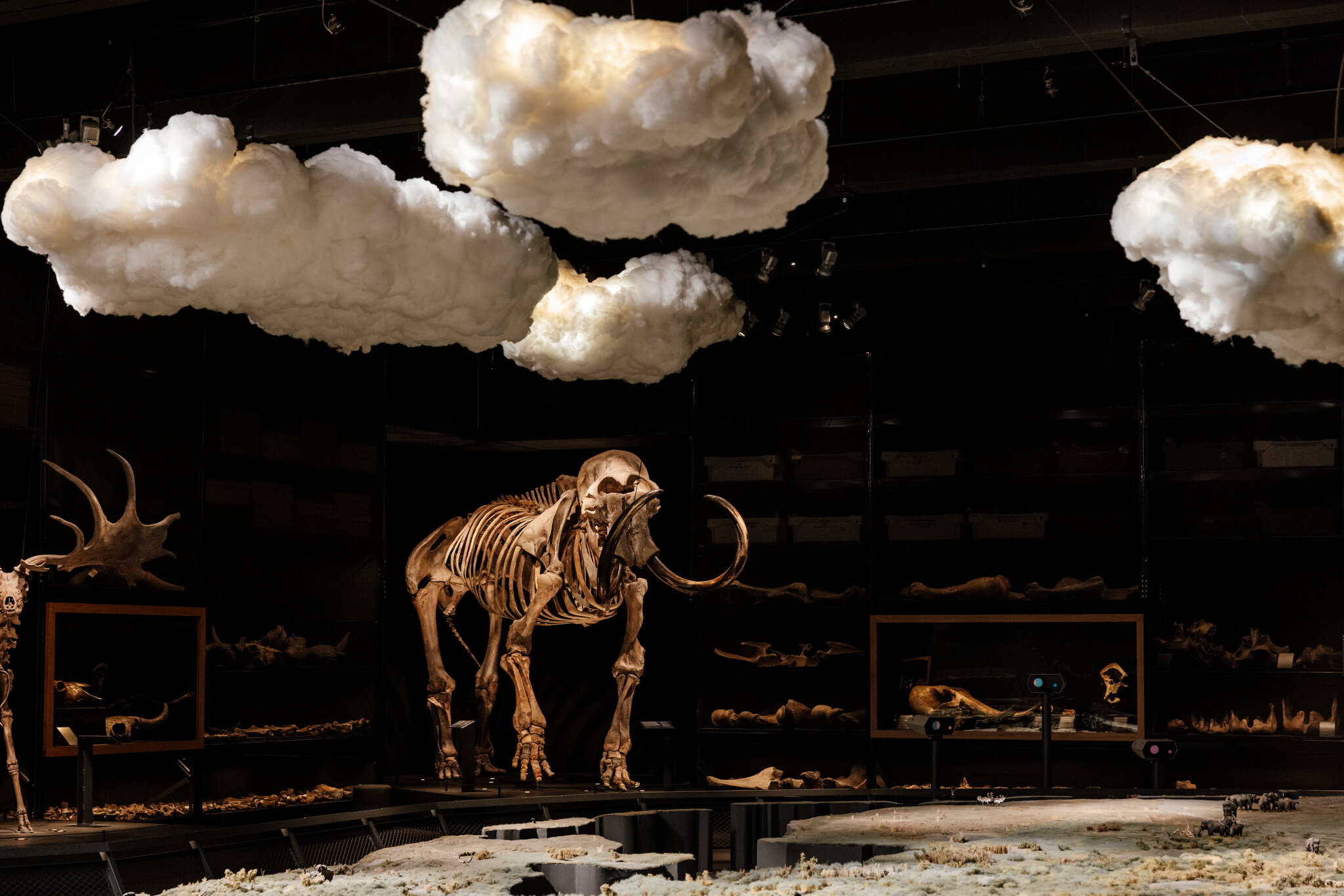 Un esqueleto de mamut en el instituto de investigación y museo de historia natural de Leiden.