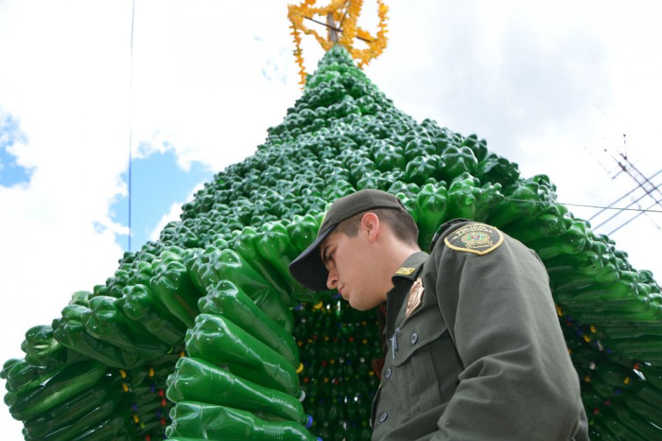 Catatumbo cuenta con el árbol de navidad ecológico más grande del país