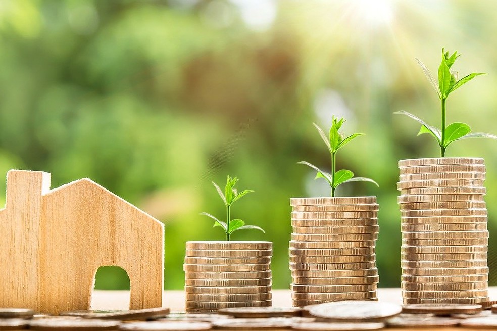 Una experta nos explica cómo capitalizar nuestros ahorros y sacarles provecho.