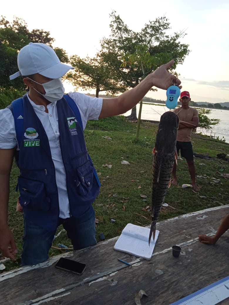 MiPez: monitoreo comunitario de la salud del río Magdalena