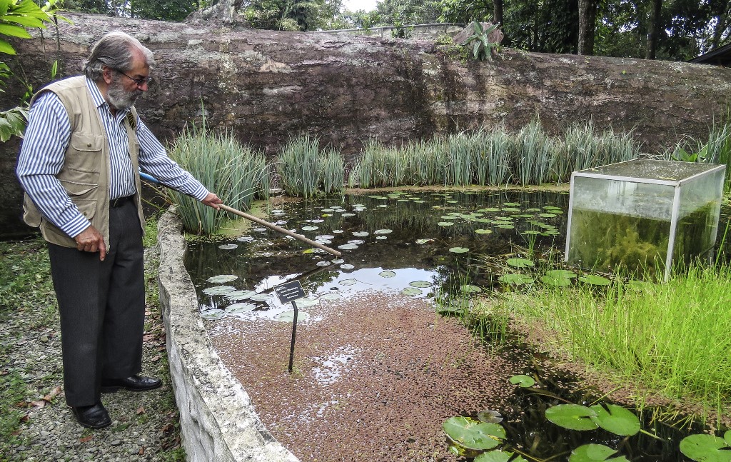 Antes de la pandemia, unas 60.000 personas visitaban anualmente el jardín situado en plena zona cafetera, en el municipio de Calarcá.