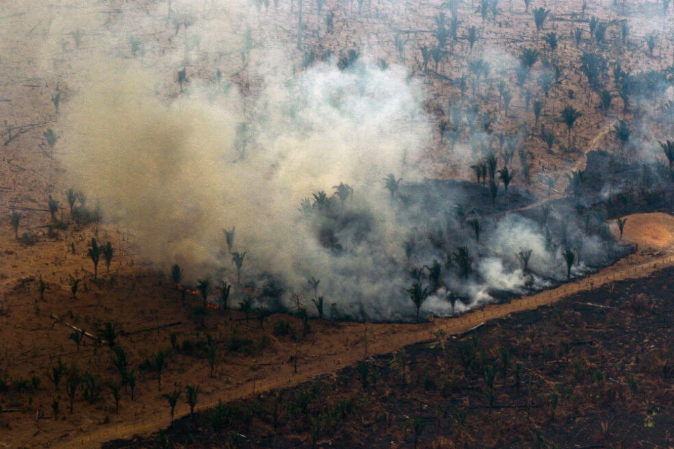 Gobierno propondrá ante ONU pacto regional de conservación de Amazonía