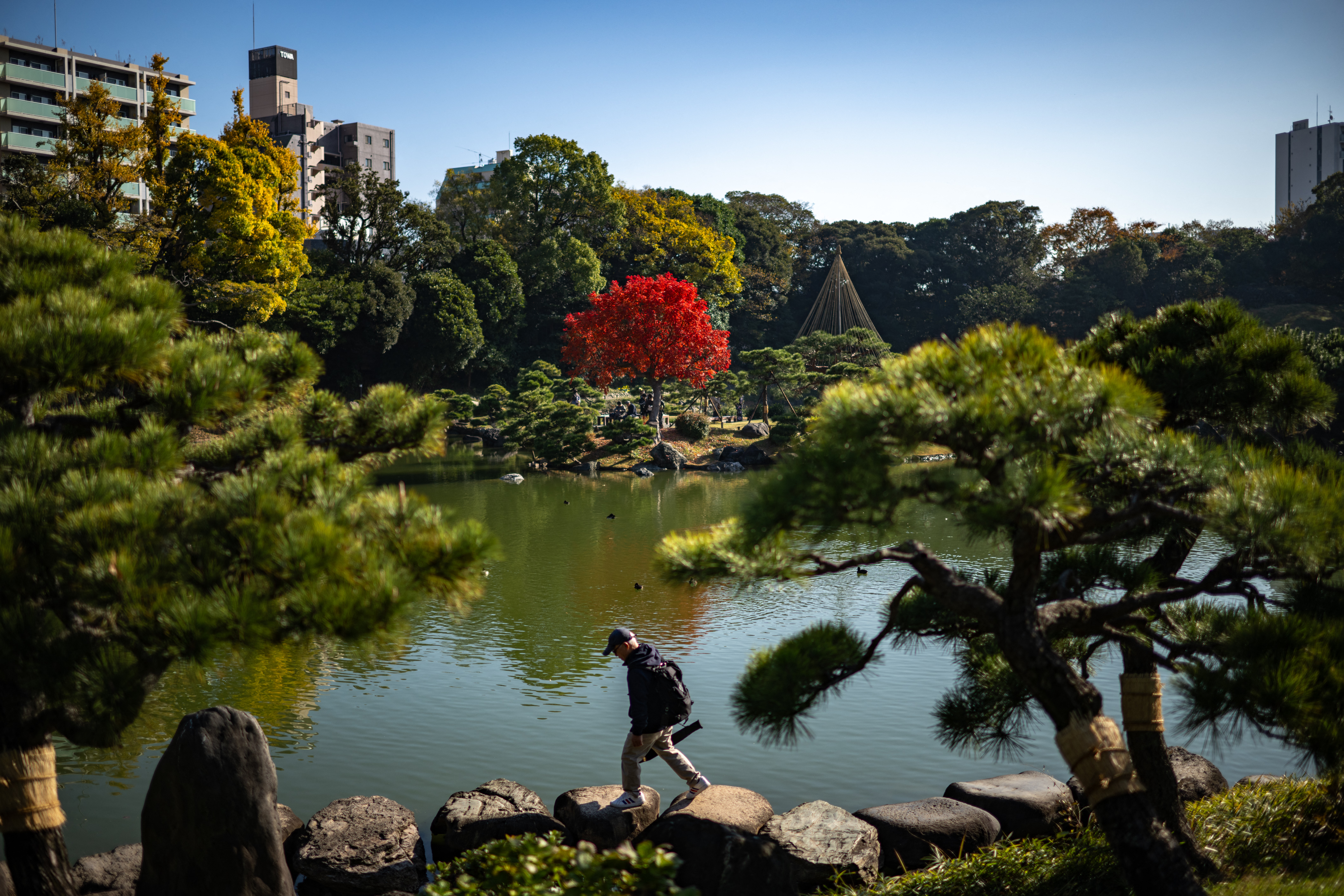 A man walks in Kiyosumi Garden in Tokyo on December 3, 2024.