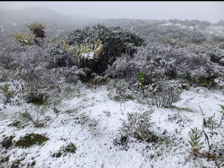 Nuevamente, cayó nieve en el Sumapaz, al sur de Bogotá