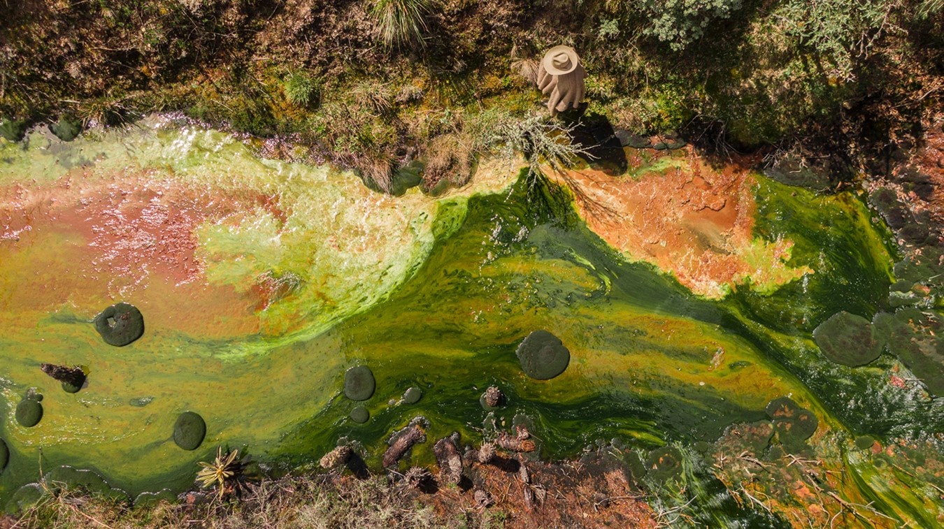 Este paisaje impresionista y apocalíptico corresponde a los lixiviados de una mina de carbón abandonada a 3.850 metros en el páramo de Pisba.