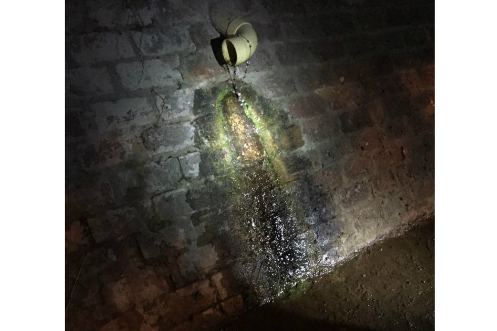 ¿Manifestación divina? En Nobsa, Boyacá, aseguran que apareció la Virgen de Guadalupe