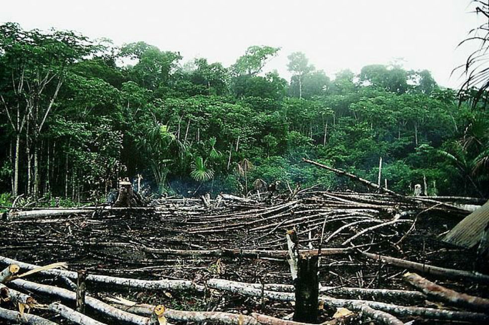 El 91% de la población no es consciente del impacto de su dieta en el planeta