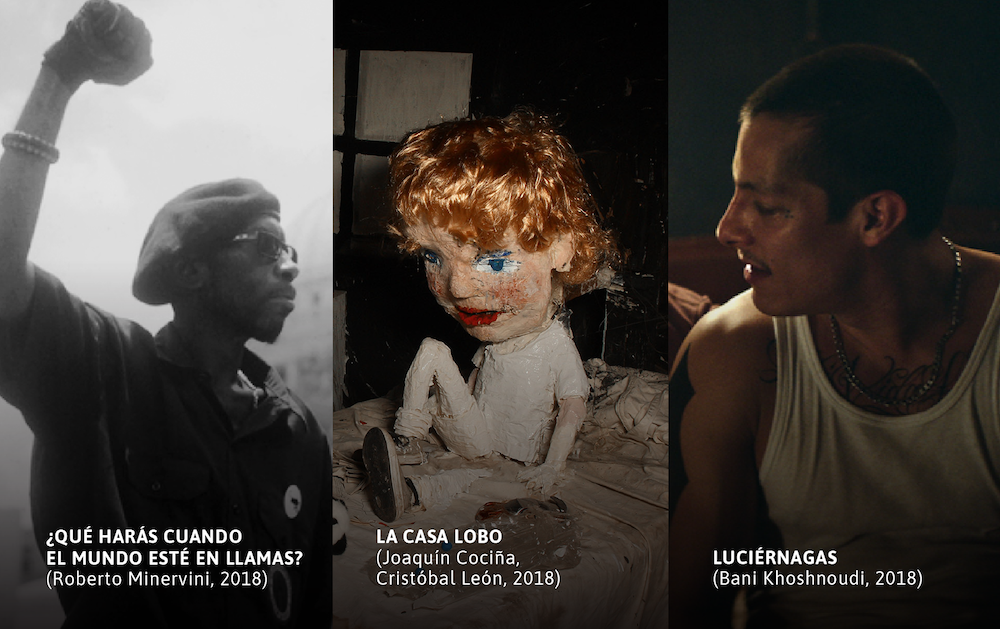 El Programa Resistencia está compuesto por tres títulos que reflejan tres modos de resistencia contra la violencia estructural: racismo, homofobia y fascismo.