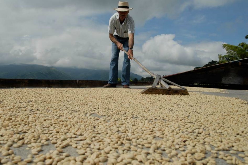 Cafeteros creen que TLC con Corea del Sur expandirá mercado asiático
