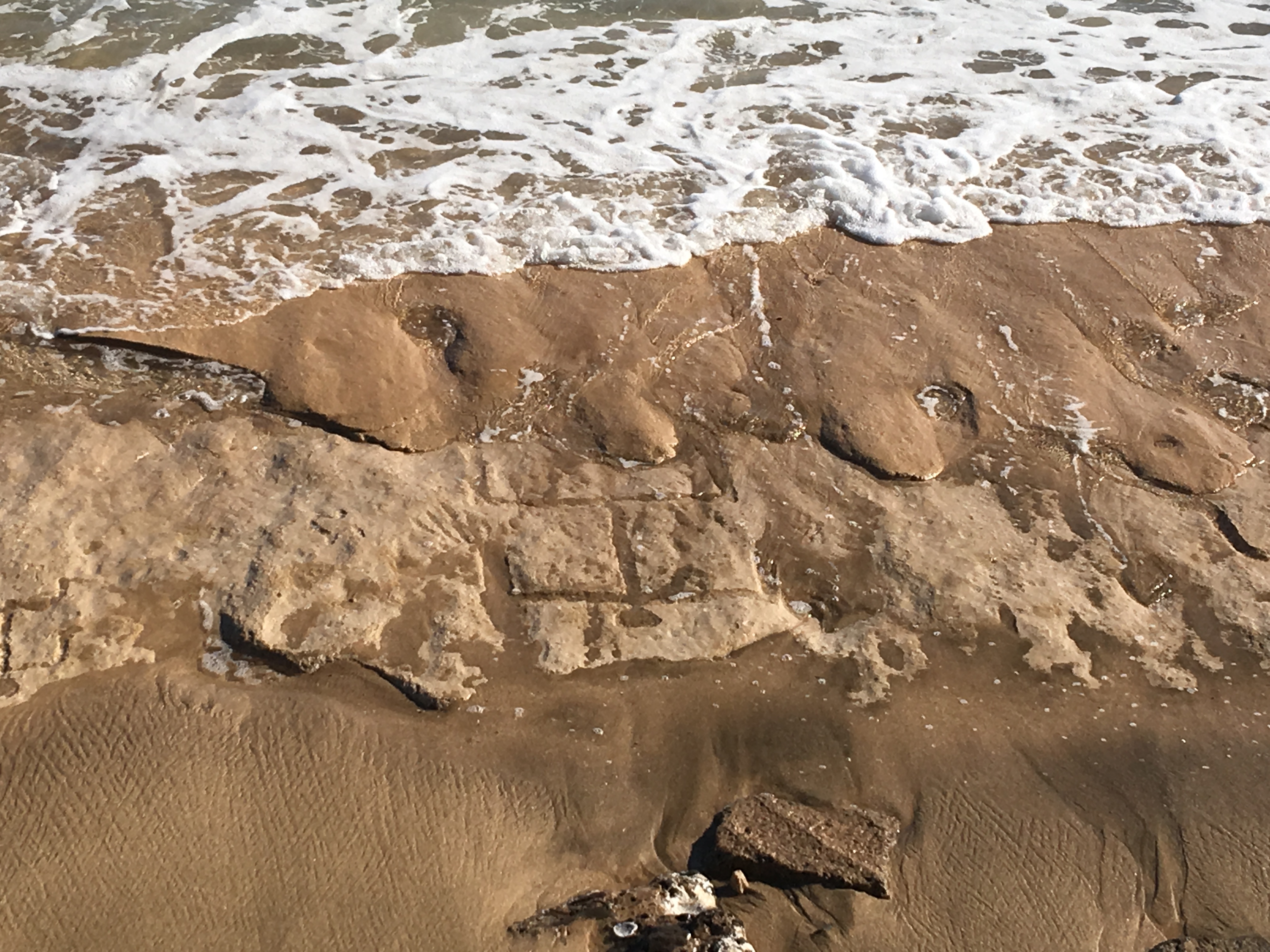 Petroglifos de hace unos 500 años emergen de la arena en Hawaii
