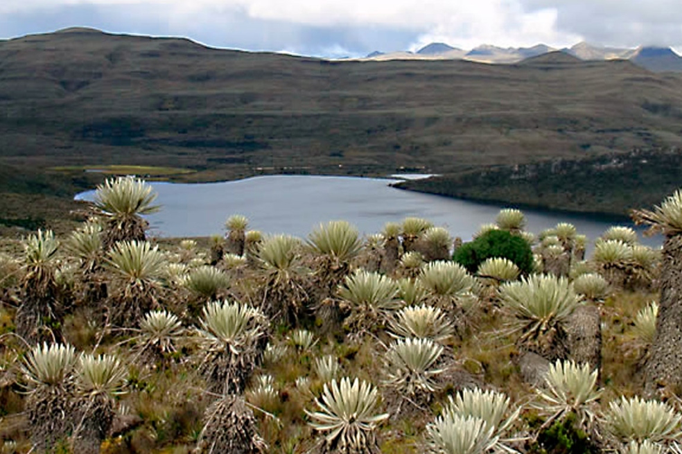 Parque Sumapaz no está habilitado para ecoturismo, advierte Parques Nacionales