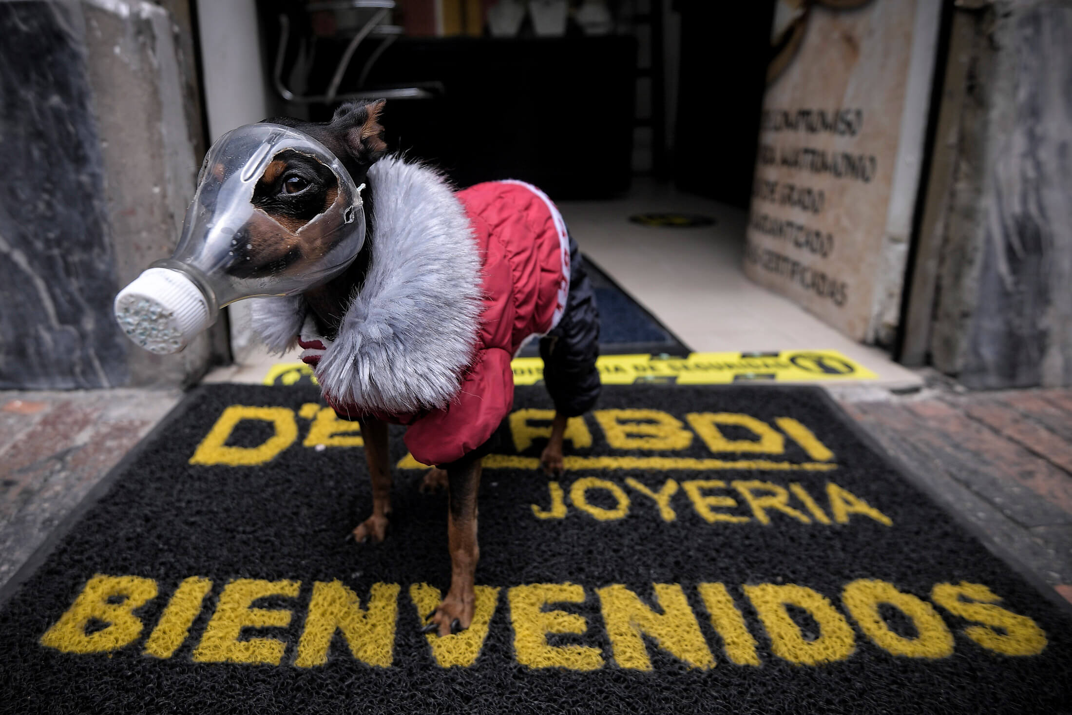 Sin duda, el coronavirus cambio de pies a cabeza la cotidianidad de la humanidad. / Mauricio Alvarado