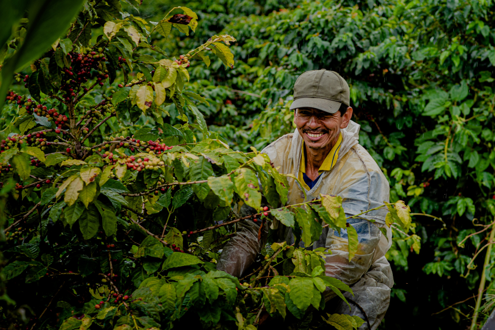 Exportaciones agropecuarias marcan récord en tres décadas
