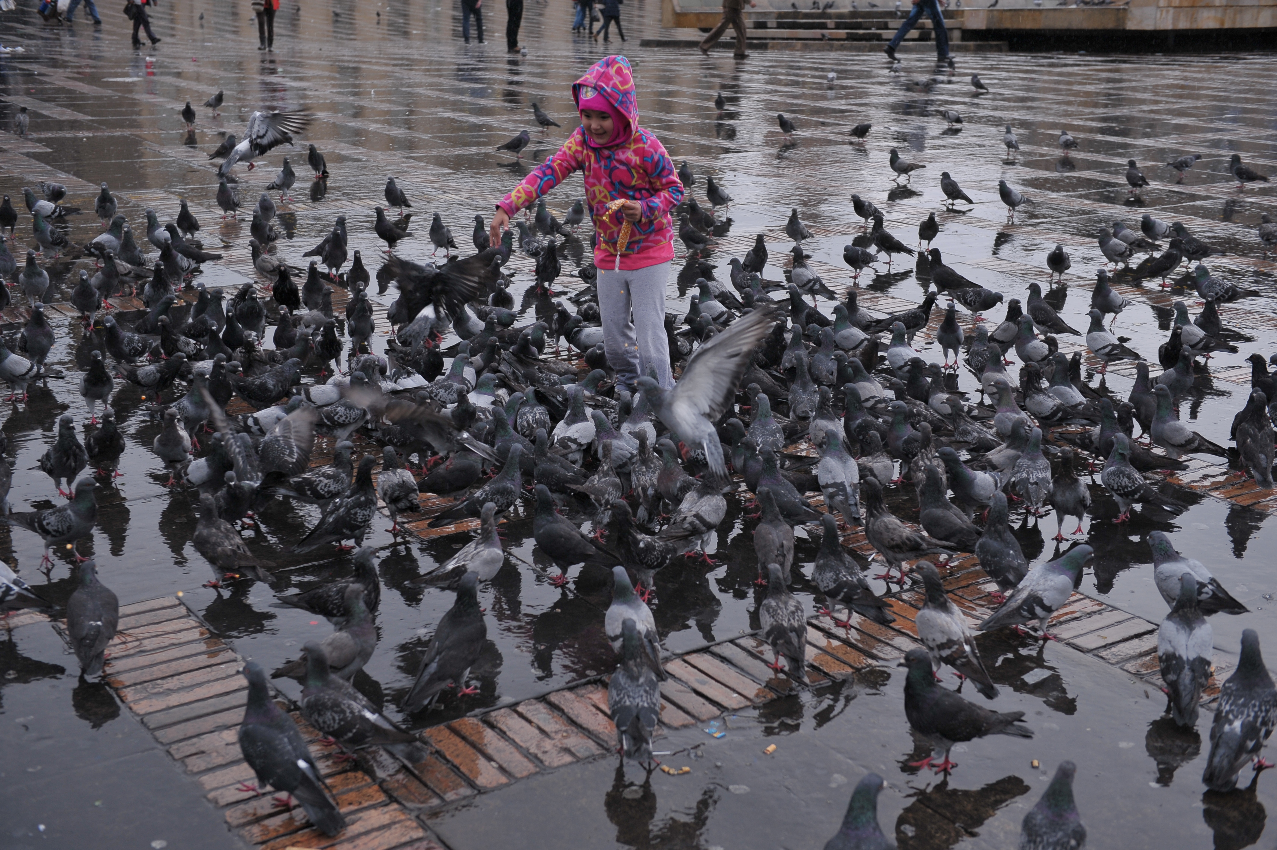 Este miércoles la ONG Aldeas Infantiles SOS se tomará la Plaza de Bolívar
