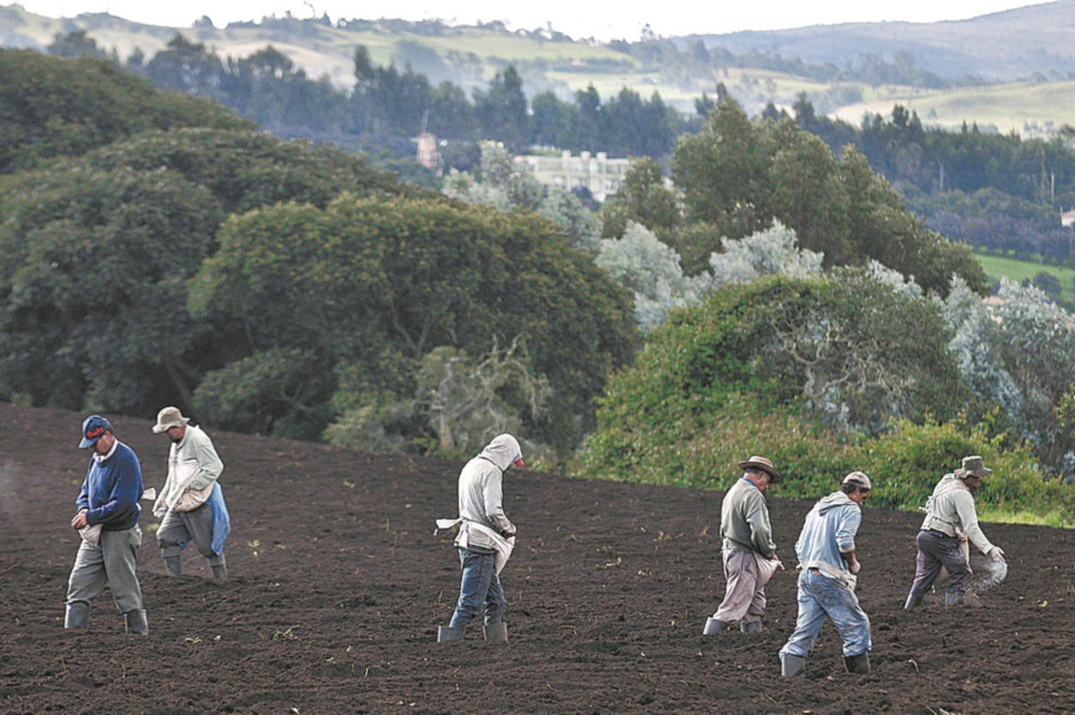 Gobierno expidió decreto de reglamentación de las zidres