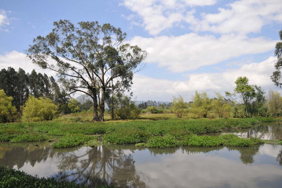 Caso de la Conejera, en vilo: personería denuncia nueva afectación ambiental