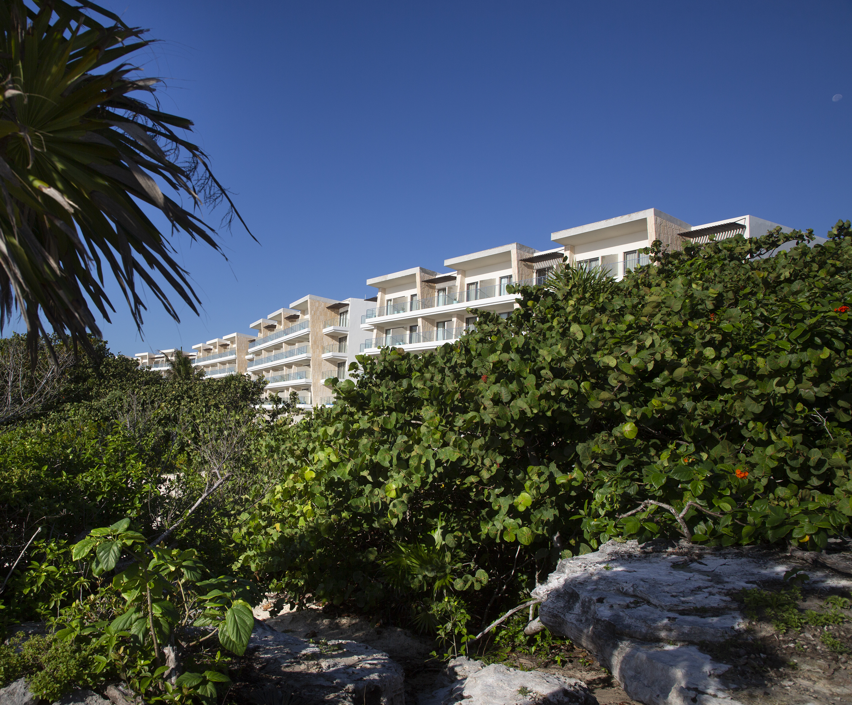 En una región llena de resorts y hoteles, Palmaïa se distingue con su ubicación entre una playa prístina de arena blanca y cenotes de agua fría en medio de la selva virgen.