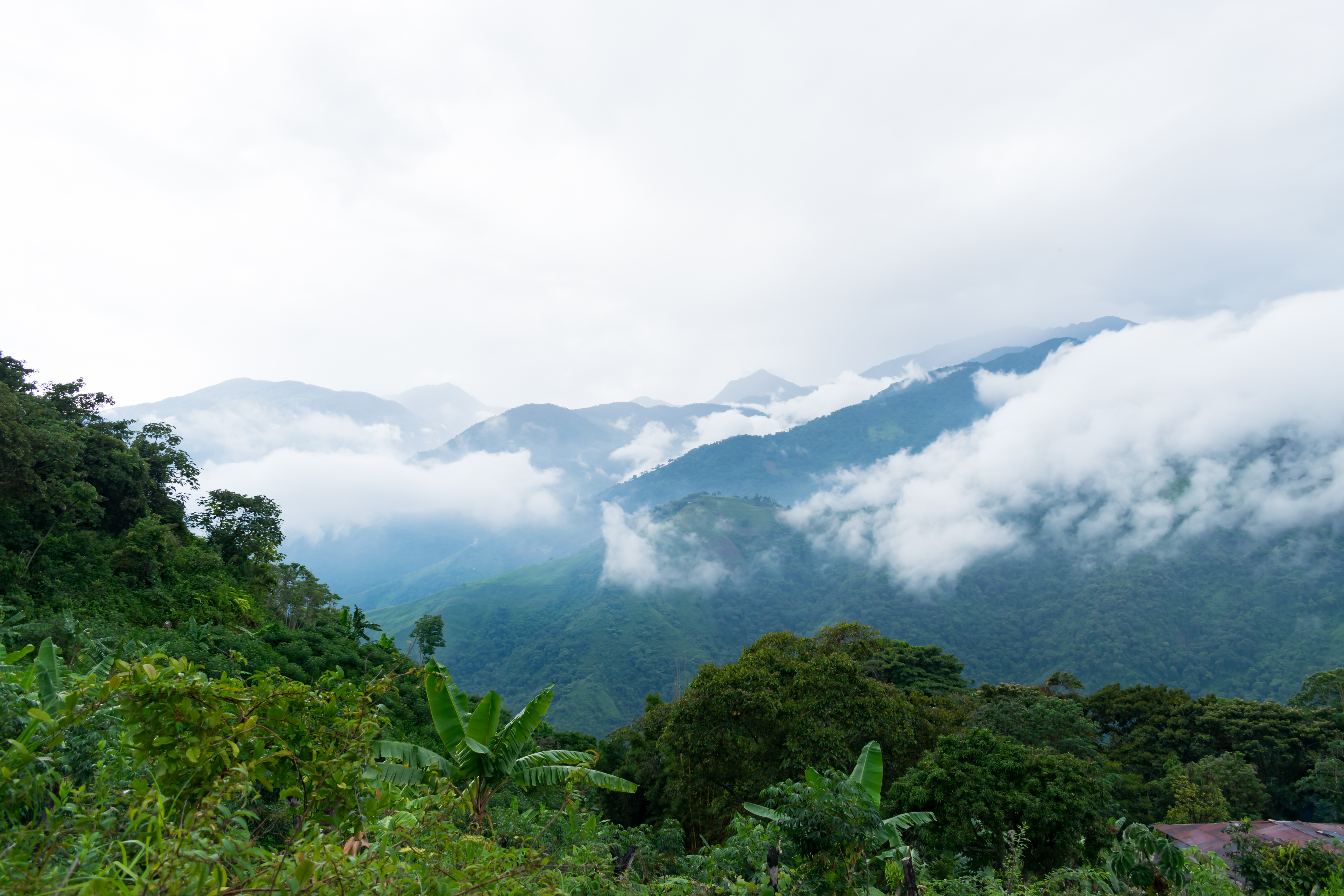 Buscan a estadounidense atrapado en la Sierra Nevada de Santa Marta