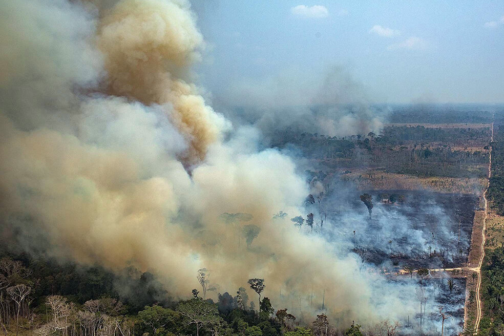 «Los incendios en la Amazonia de este año no fueron normales», según estudio
