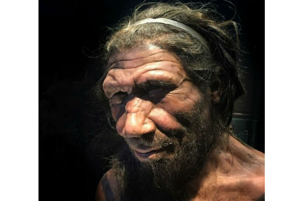 Los neandertales practicaron cuidados médicos guiados por la compasión