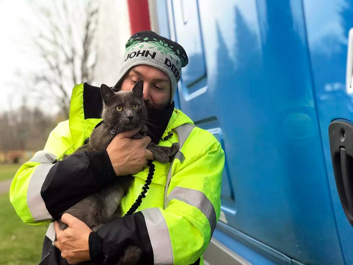El emotivo reencuentro entre un hombre y su gato perdido en Estados Unidos.