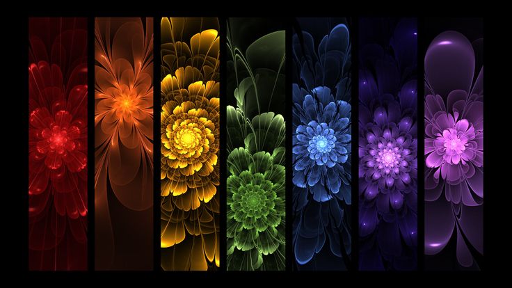 El significado de los siete colores del chakra te pueden dar las respuestas que necesitas a tu vida y la forma de seguir adelante. Te enseñamos.