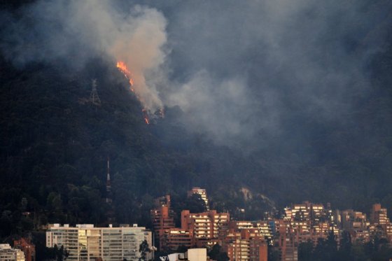 Durante las temporadas de calor que azotan a la ciudad, los cerros orientales frecuentemente son los más afectados por incendios forestales. Foto: Cristian Garavito/El Espectador
