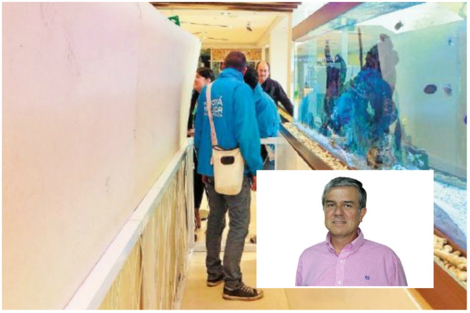 Personería abre indagación contra secretario de Ambiente por sacrificio de peces de Atlantis