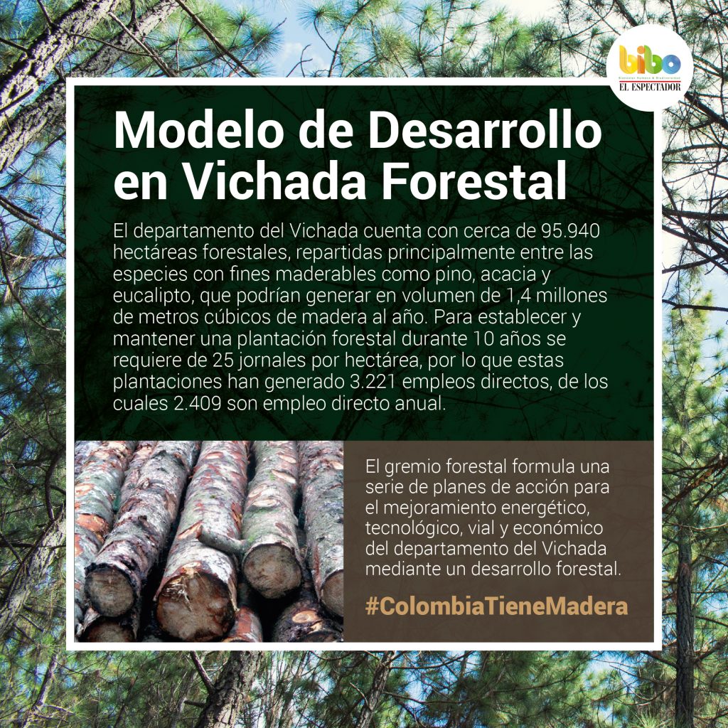 Modelo de Desarrollo en Vichada Forestal
