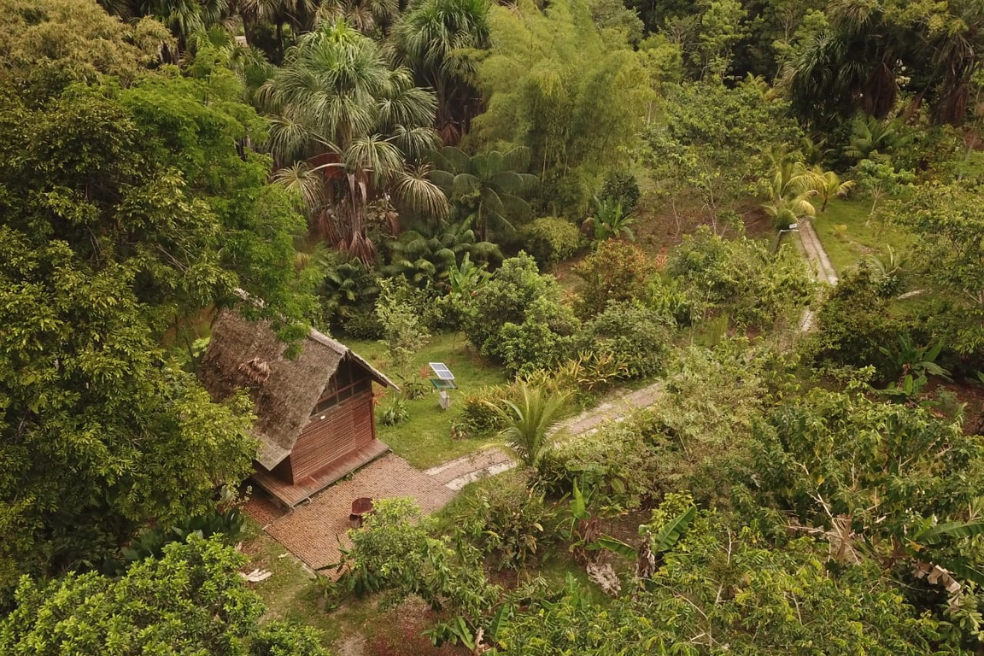 Según WWF, la Amazonía tiene en total 6.7 millones de kilómetros cuadrados de bosques.