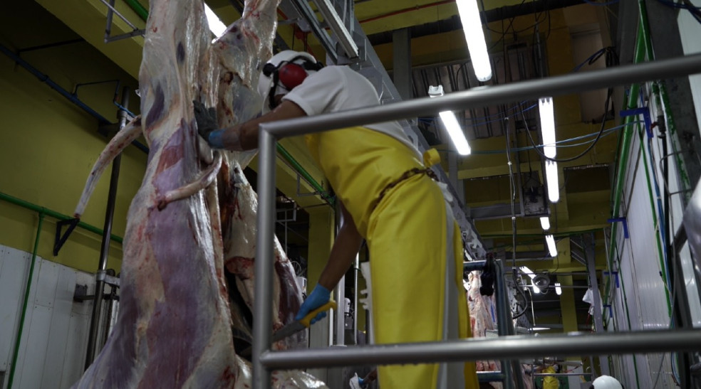 Bloqueos y pandemia afectaron la producción de carne de res
