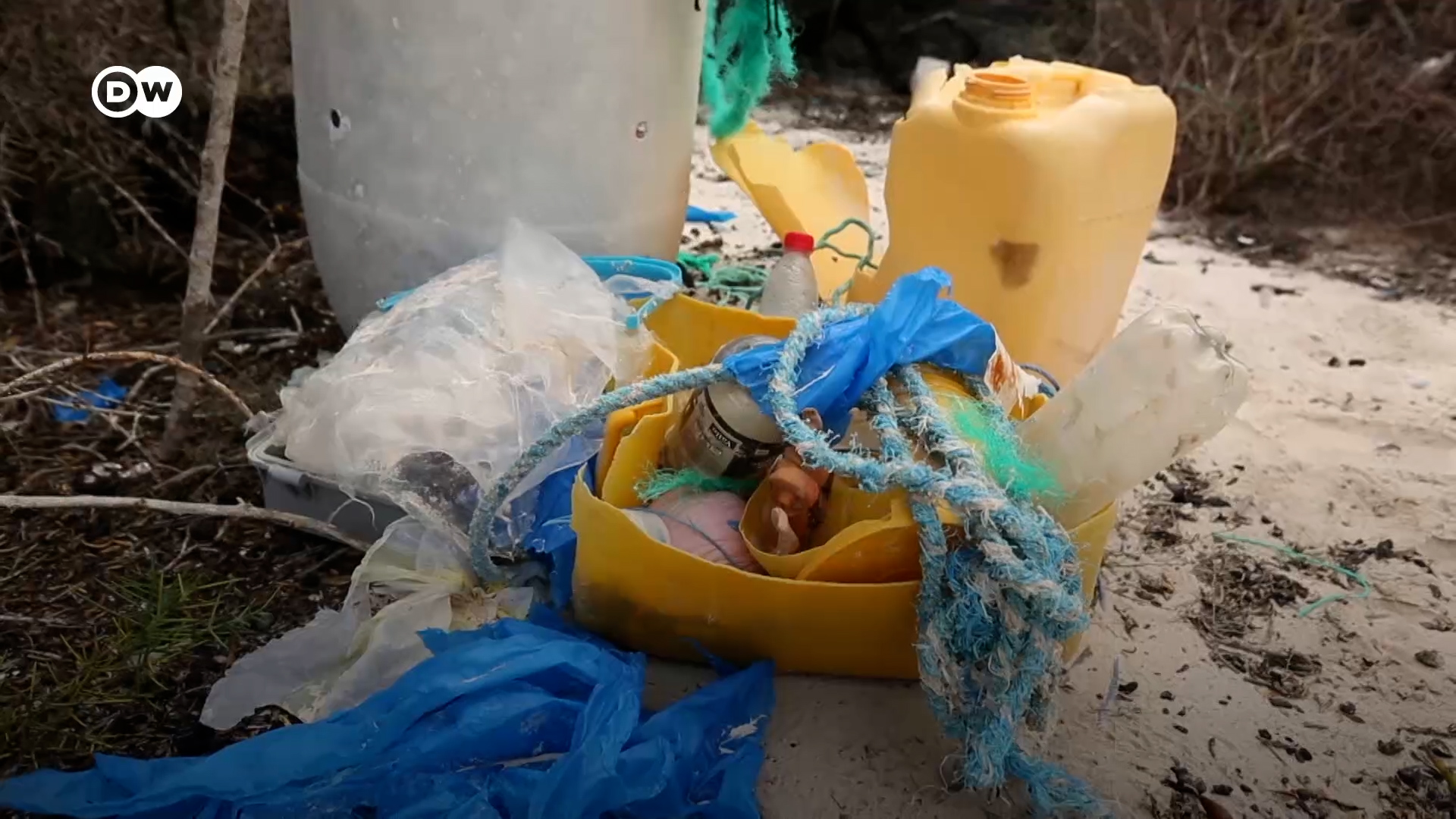 Toneladas de basura amenazan la biodiversidad de las Islas Galápagos