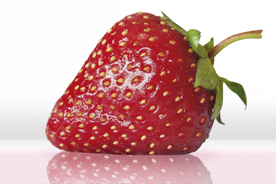 Frutos del bosque para la vida