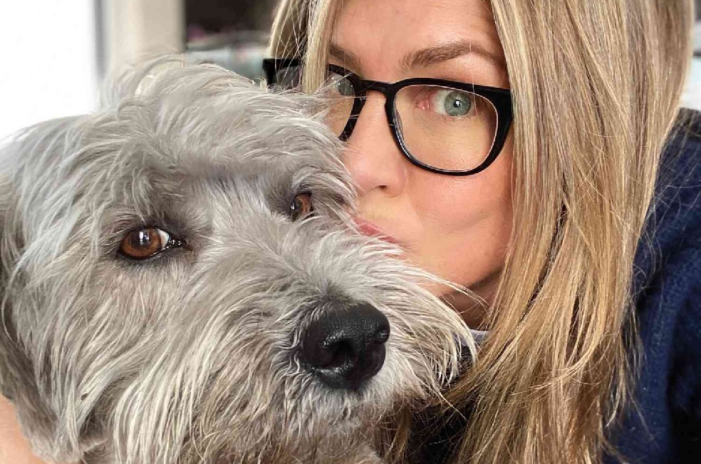 Norman, el perro que Jennifer Aniston adoptó tras episodio de Friends