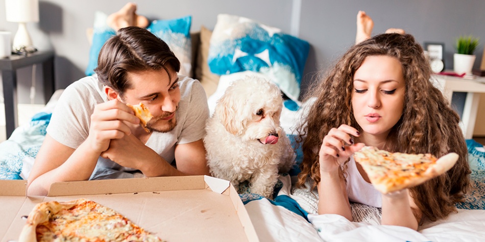Nueve tips para brindarle una alimentación, sana y balanceada a tu mascota
