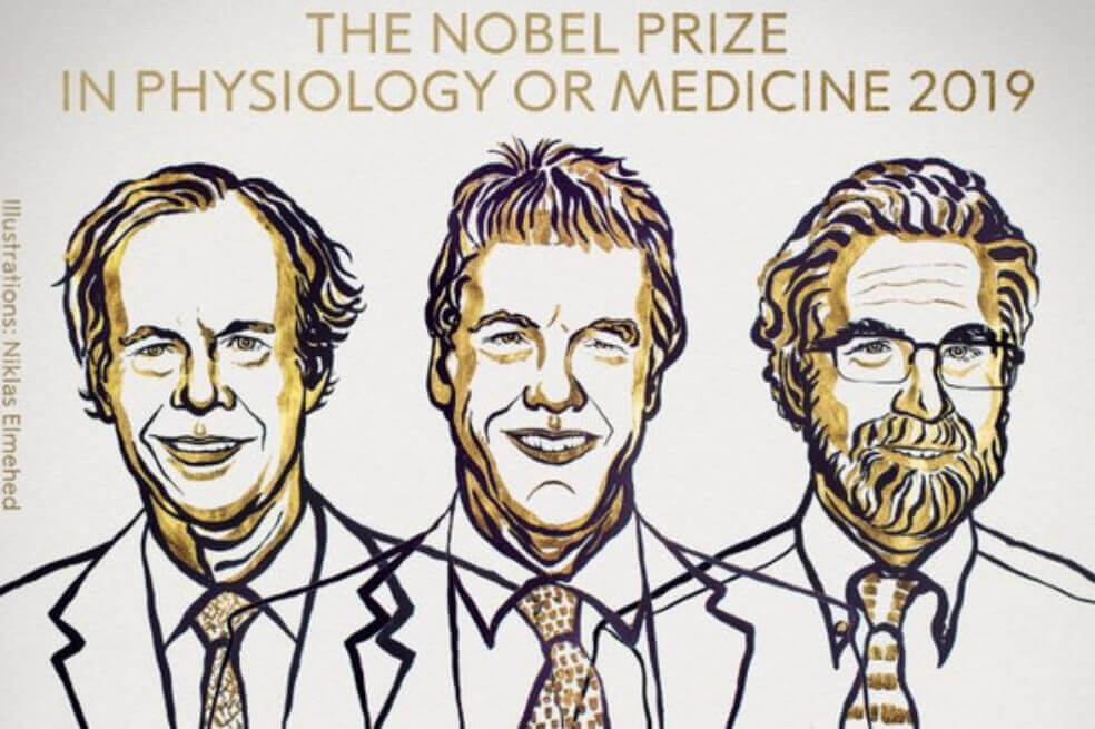 William G. Kaelin Jr, Sir Peter J. Ratcliffe y Gregg L. Semenza, premios Nobel de Fisiología en 2019. 
 / © The Nobel Committee for Physiology or Medicine | Mattias Karlén