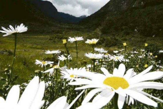 Tolima le apuesta a un observatorio ambiental propio