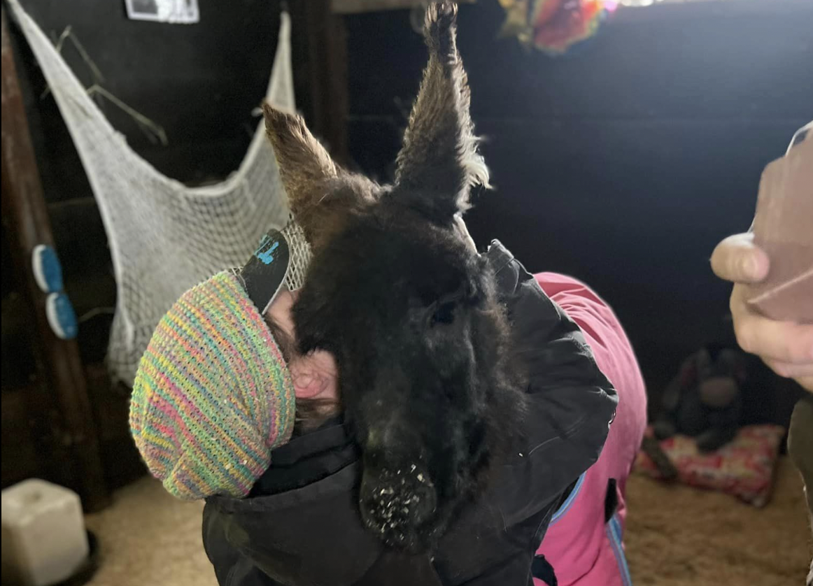 Este es Tiptoe, ama compartir con personas y ayuda a los animales que no pueden ver.