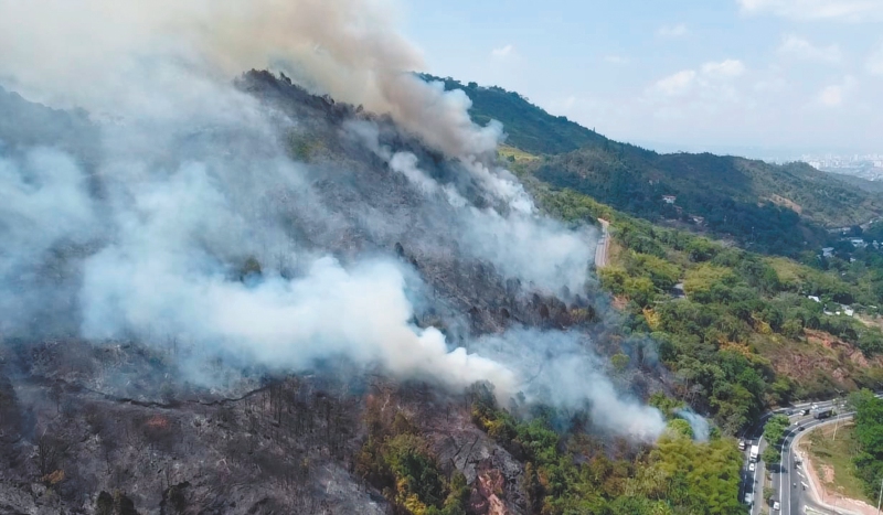 Más del 70% de Colombia se encuentra en alerta por incendios forestales