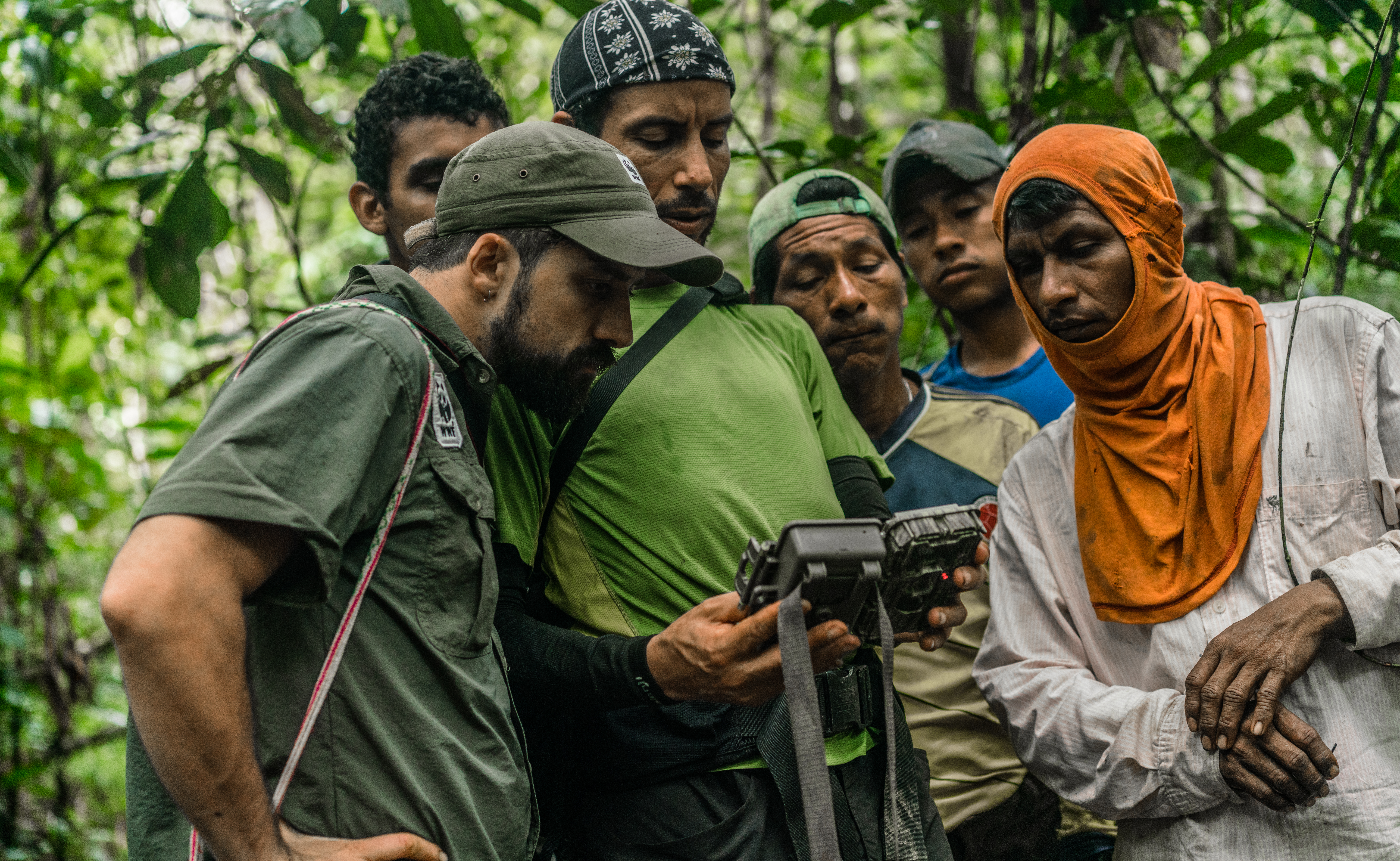 Los monitores locales, junto al equipo técnico de WWF Colombia, revisando las imágenes de una de las cámaras trampa. ©Luis Barreto/WWF Colombia